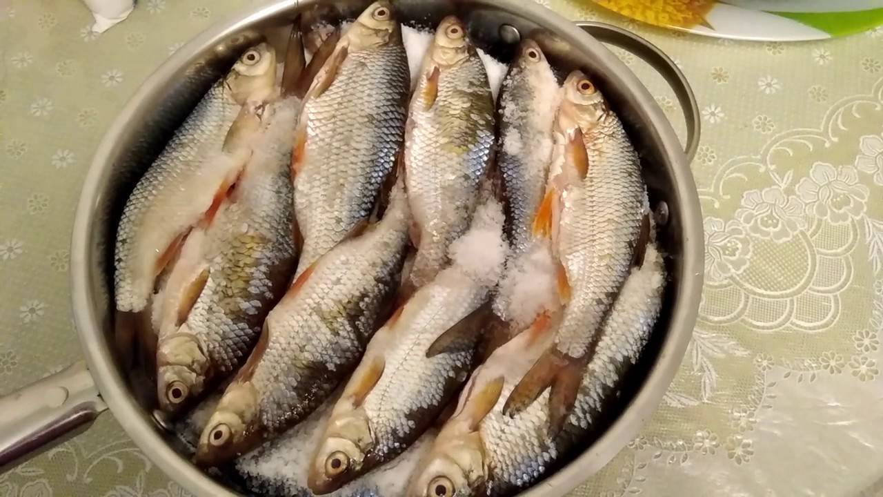 Как правильно солить рыбу для сушки