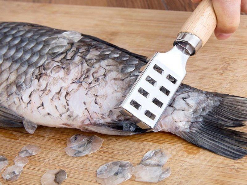 Как чистить рыбу от чешуи ножом, как почистить речную рыбу, карася и семгу быстро