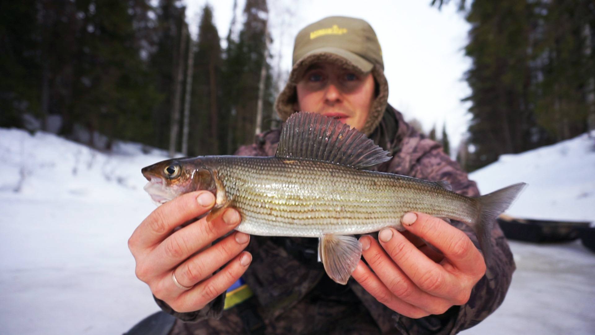 Места для рыбалки в кемеровской области – платная и бесплатная рыбалка!