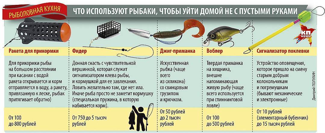 Как научить детей любить рыбалку? практическое пособие для родителей - статьи о рыбалке