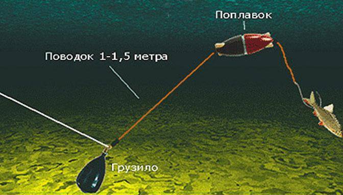 Донка с подводным поплавком для ловли сома – преимущества и особенности снасти - рыбалка