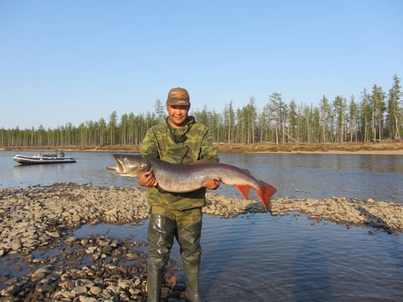 Платная рыбалка в иркутской области: рыболовные туры, охотничьи базы и водоемы иркутска