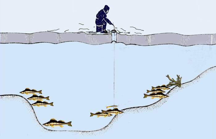Рыбалка по первому льду - на кого и как?
