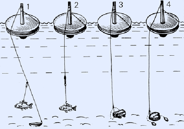 Ловля щуки на кружки - правильное устройство оснастки, изготовление и техника ловли
