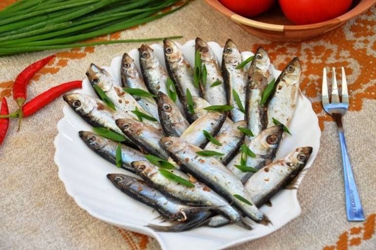 Рыба салака — описание, особенности ловли, рецепты приготовления