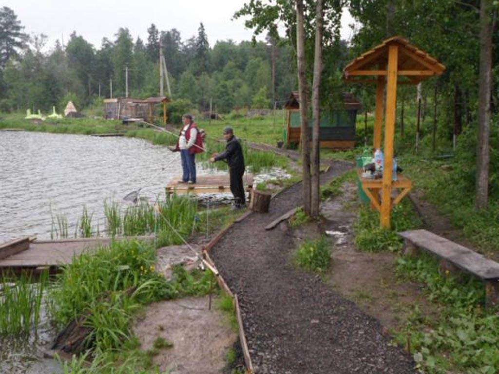 Рыбалка в лыткино (солнечногорский район московской области): как доехать, нормы вылова