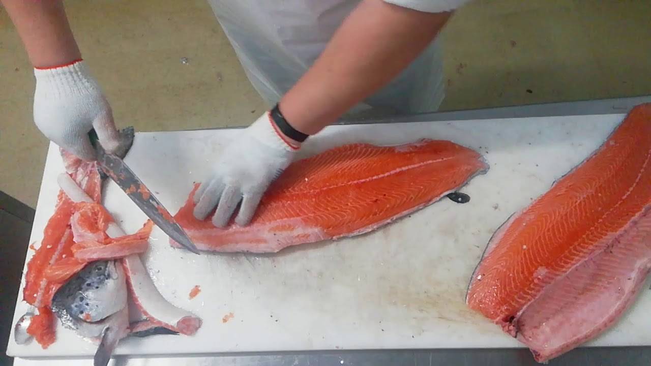 Как быстро и правильно разделать лосося или семгу — схема и видео