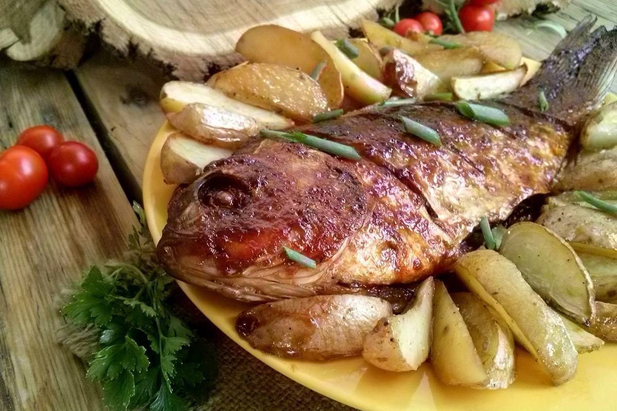 Сазан в духовке: рецепты, как вкусно приготовить запеченную рыбу, фото