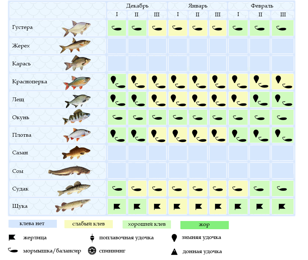 Какую рыбу ловят. Календарь клева окуня зимой. Таблица ловли окуня. Таблица давления ловли рыбы зимой. Календарь рыбака зимний.