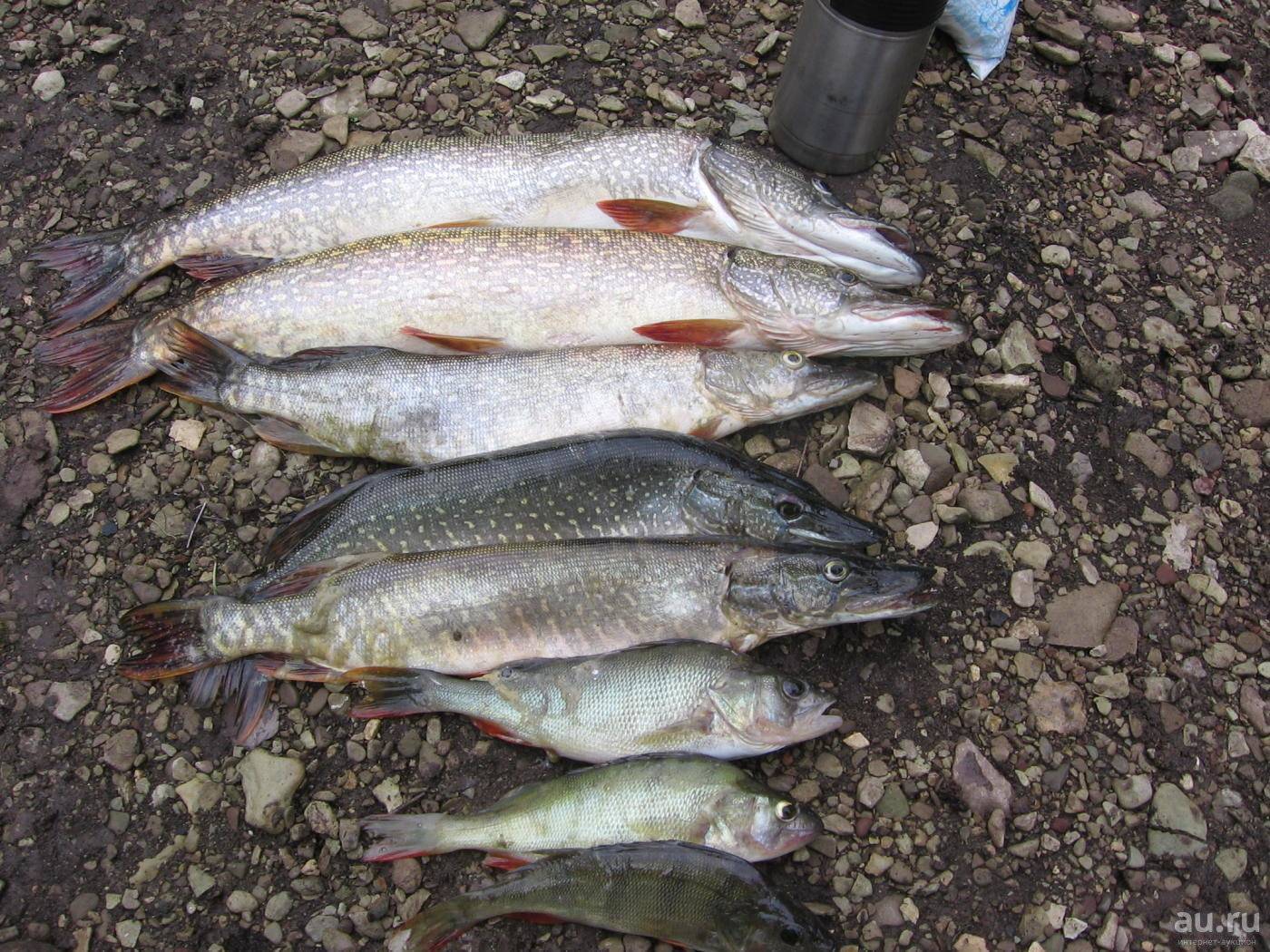 Особенности рыбалки на водохранилище