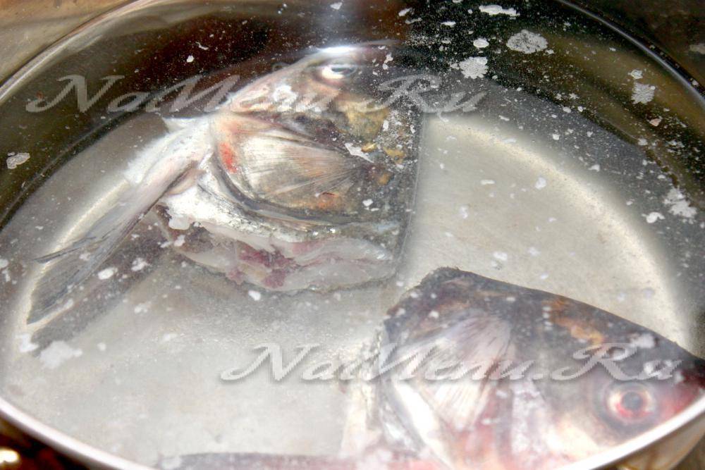 Уха из головы толстолобика — рыбные рецепты