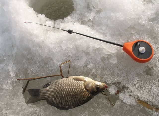 Зимняя ловля карася - тонкости и секреты - на рыбалке!