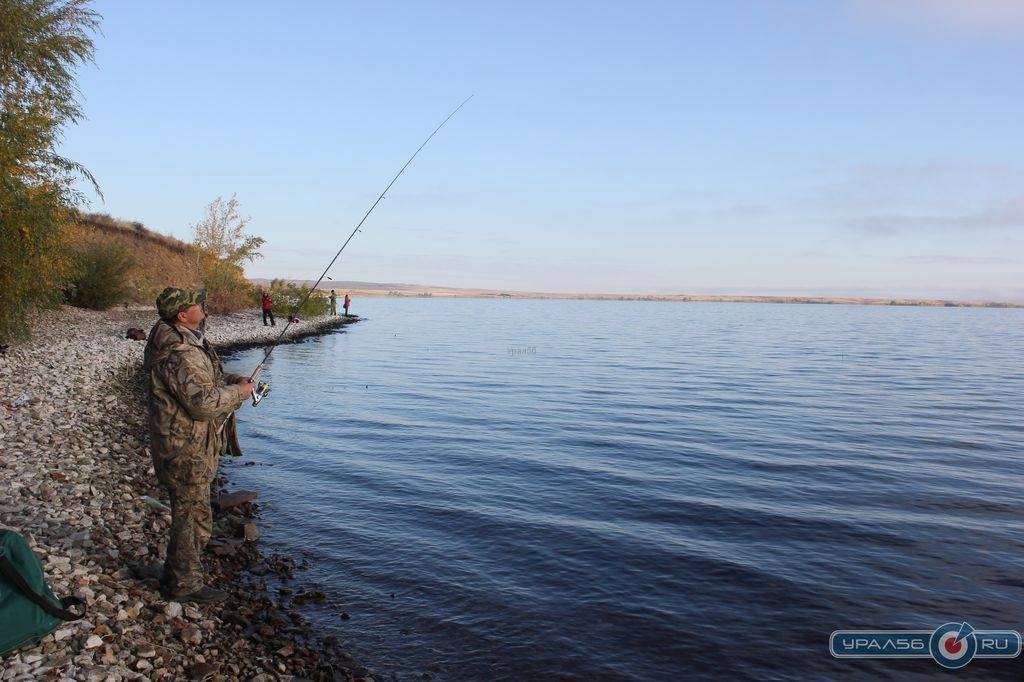Организация рыбалки в оренбургской области
