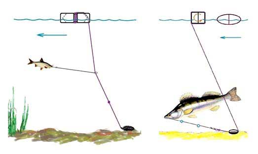 Ловля судака на живца: различные техники, выбор живца, ловля с берега, снасти