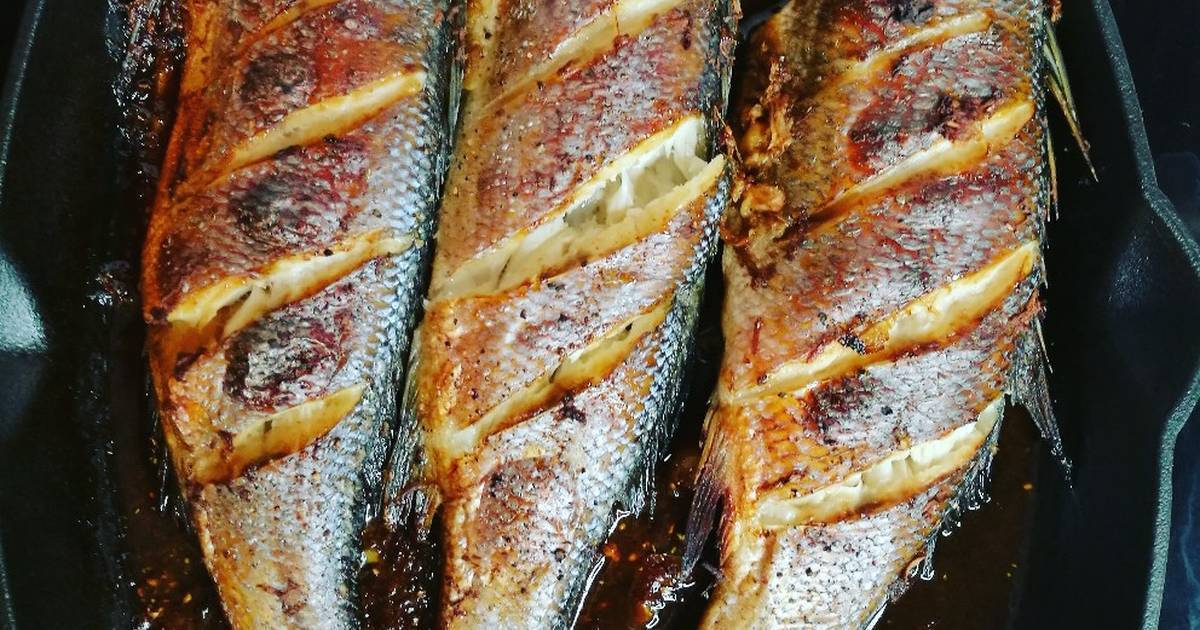 Ледяная рыба - как приготовить блюда в духовке или сковороде по рецептам с фото